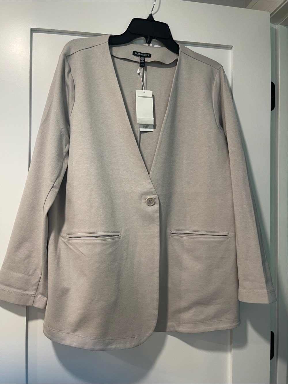 Eileen Fisher Light Taupe Single-Button V-Neck Blazer